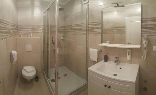 a bathroom with a shower and a sink and a toilet at Apartments Rotim in Zaostrog