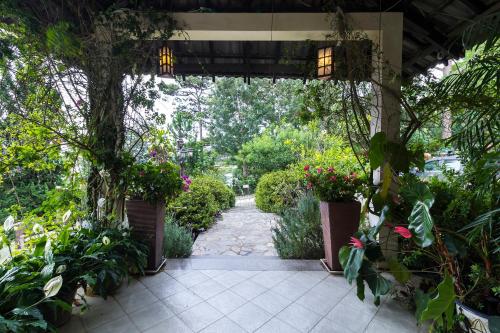 Zahrada ubytování BICH DAO Boutique - Dalat