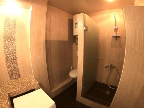 een kleine badkamer met een toilet en een douche bij LUX apartment on Kirova 27d view 15 floor in Dnipro