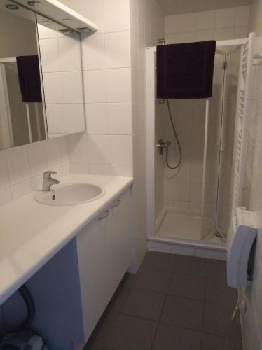 une salle de bain avec un lavabo et une douche dans l'établissement Location vue mer WIFI, à Wimereux