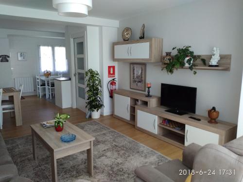 ein Wohnzimmer mit einem Sofa und einem TV in der Unterkunft Apartamento Datue in Elizondo