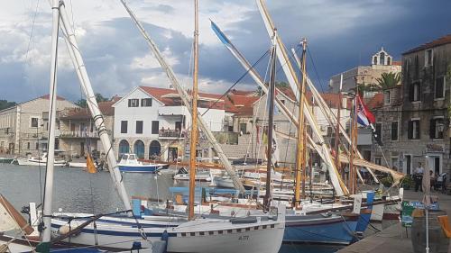 Apartments Damjanic Jerko