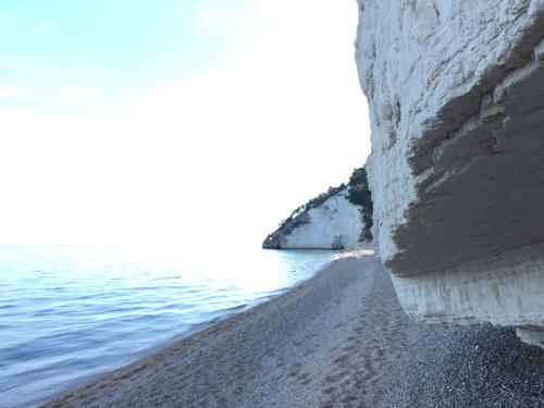 a beach next to the water with a rocky shore at Camping Apartment Vignanotica in Mattinata