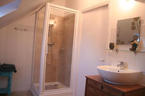 a bathroom with a shower and a sink at Ar Litorienn in Paimpont