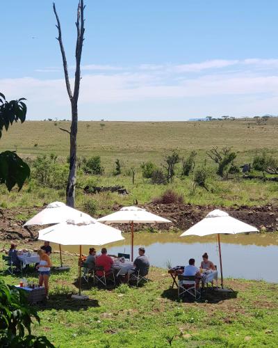 a group of people sitting under umbrellas near a pond at Nambiti Plains Lodge in Nambiti Private Game Reserve