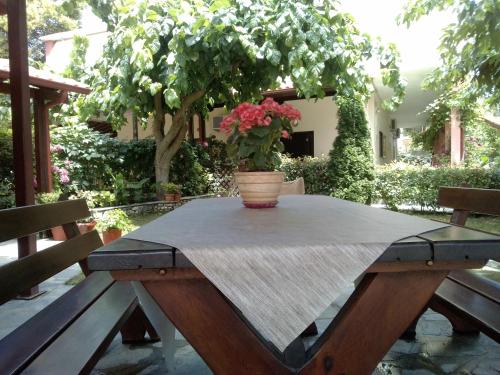 Anastasia Chalatsogianni Rooms