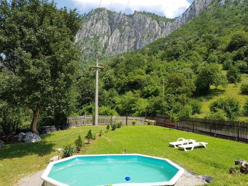 ein Schwimmbad in der Mitte eines Gartens mit einem Berg in der Unterkunft La Cabana in Băile Herculane