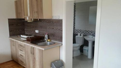 uma casa de banho com um lavatório e um WC em Apartments Struga em Struga