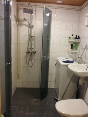 a bathroom with a shower and a toilet and a sink at Apartment Seita in Levi