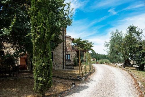 un camino de tierra junto a una casa con un árbol en Tenuta La Borriana, en Carmignano