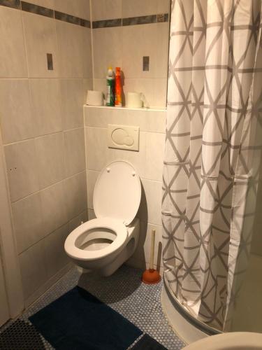 a bathroom with a toilet with a shower curtain at Rana's Zimmervermittlung 2 in Bremen