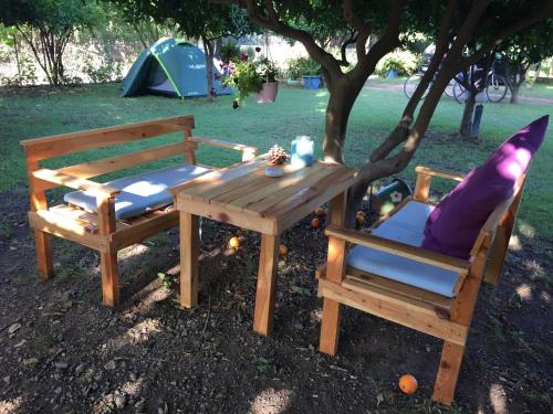 una mesa de picnic y dos sillas sentadas bajo un árbol en Cirali Friends Pension&Camping, en Cıralı