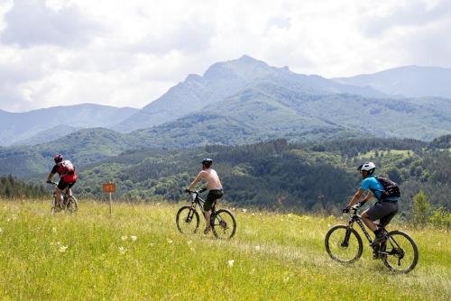 three people riding bikes in a field with mountains at Eco Rai Rekata in Apriltsi