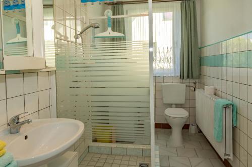 a bathroom with a sink and a toilet and a shower at Haus Frieda in Ostseebad Koserow