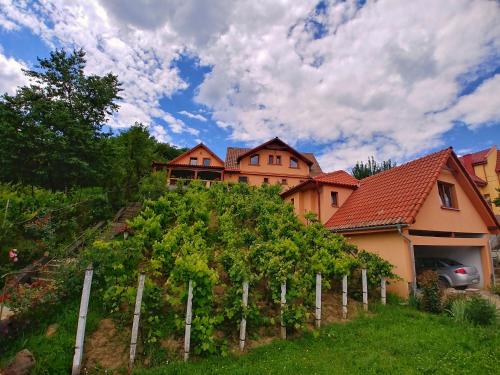 una casa en la cima de una colina con un viñedo en Casa Adam, en Sighişoara