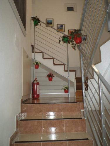 a stairway with potted plants on the stairs at Apartmani Janjic in Banja Luka
