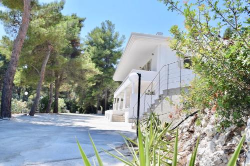 Φωτογραφία από το άλμπουμ του Petra Maris B&B σε Peschici