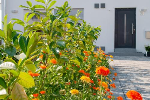 Gallery image of Ferienwohnung Elena in Tettnang