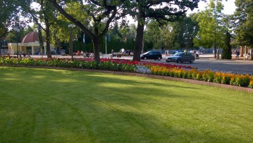 a park with a green lawn and some flowers at SaMuci Apartman in Hajdúszoboszló