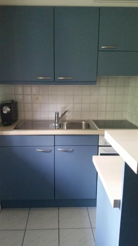 ヴィルダースヴィルにあるObereigasseのキッチン(青いキャビネット、シンク付)