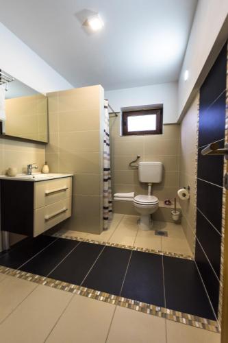 a bathroom with a toilet and a sink at Guest House Vana in Korenica