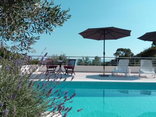 Πισίνα στο ή κοντά στο Villa Filip