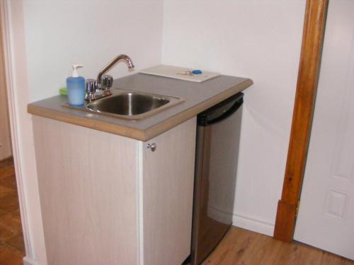 uma cozinha com um lavatório e um balcão em Auberge La Seigneurie Valcartier em Saint-Gabriel-De-Valcartier