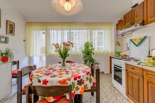 Apartment Grdelin