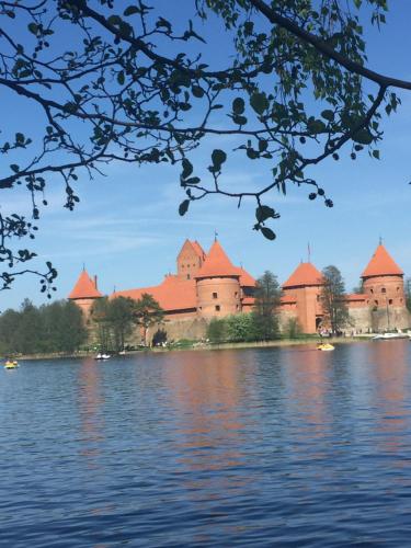 a castle on the shore of a body of water at Villa Traku Terasa in Trakai
