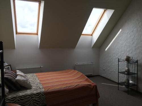 a bedroom with two skylights and a bed at Villa Traku Terasa in Trakai