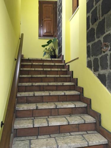 Φωτογραφία από το άλμπουμ του Ruviano La Torre σε Ruviano