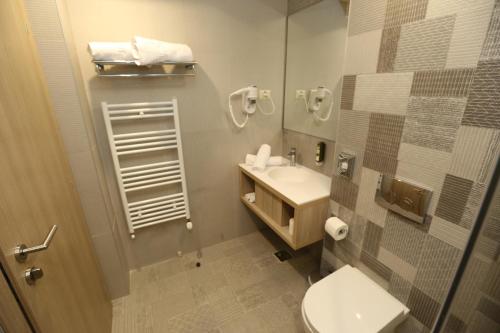 bagno con servizi igienici, lavandino e specchio di Hotel Baril a Haţeg