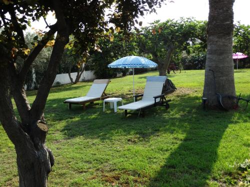 Κήπος έξω από το Apartments Karpetis a green paradise