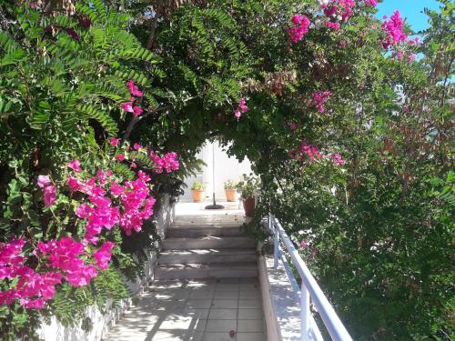 a pathway with pink flowers in a garden at Seafront Studios and Apartments in Chios
