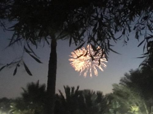 a firework display in the sky behind a tree at Sandy Beach Apartment 13 in Voroklini