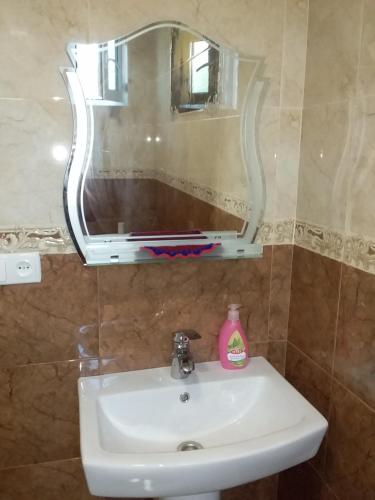 a bathroom sink with a large mirror above it at Guest House Medea in Tʼelavi