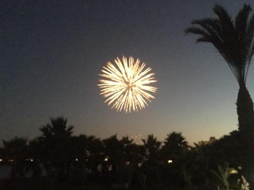 Φωτογραφία από το άλμπουμ του Sandy Beach Apartment 8  στην Ορόκλινη