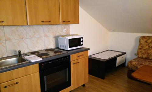 La cocina está equipada con microondas, fogones y fregadero. en Apartman Dadić, en Malinska