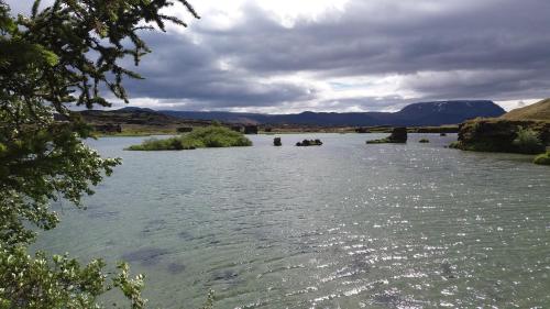 a river with trees on the side of it at Guesthouse Brúnahlíð in Aðaldalur
