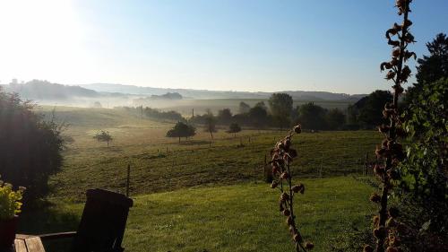 a giraffe standing in a field of grass at Les Hauts de Crupet in Maillen