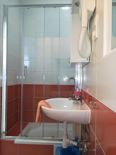 a bathroom with a sink and a shower at Guesthouse Sava in Slavonski Brod