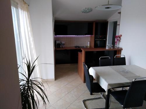 Kuchyň nebo kuchyňský kout v ubytování Apartment Ivo