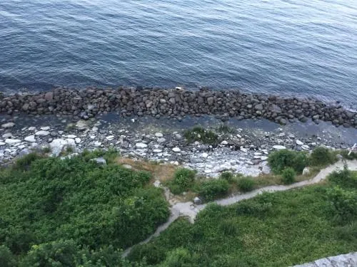 Stevns Klint Bed & Breakfast picture