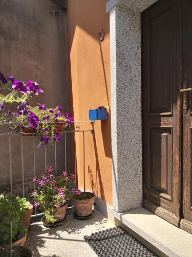 a group of potted plants on a fence next to a door at Il Planetario in Verbania