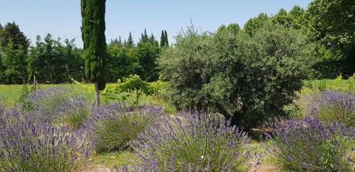 La Pastorale – Photos 4