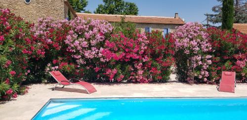 La Pastorale – Photos 3
