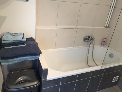 une salle de bain avec baignoire et douche dans l'établissement Centre Historique de Colmar, à Colmar