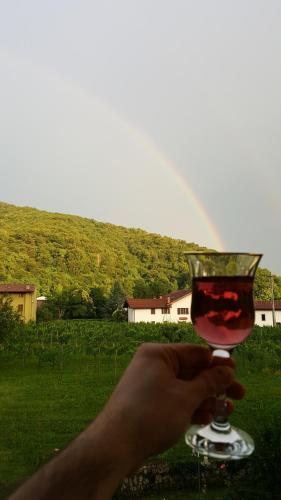 a hand holding a glass of wine with a rainbow in the background at Affittacamere Valnascosta in Faedis