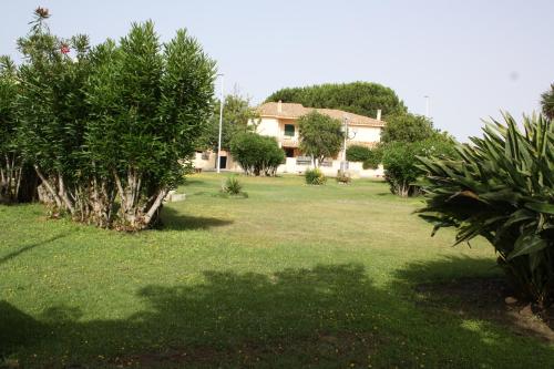 a yard with trees and a house in the background at Casa Vacanze Paola 2 in Santa Luria
