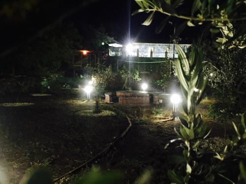 Κήπος έξω από το Casa Monte Etna